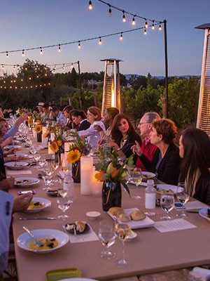 discreet garden party in sonoma